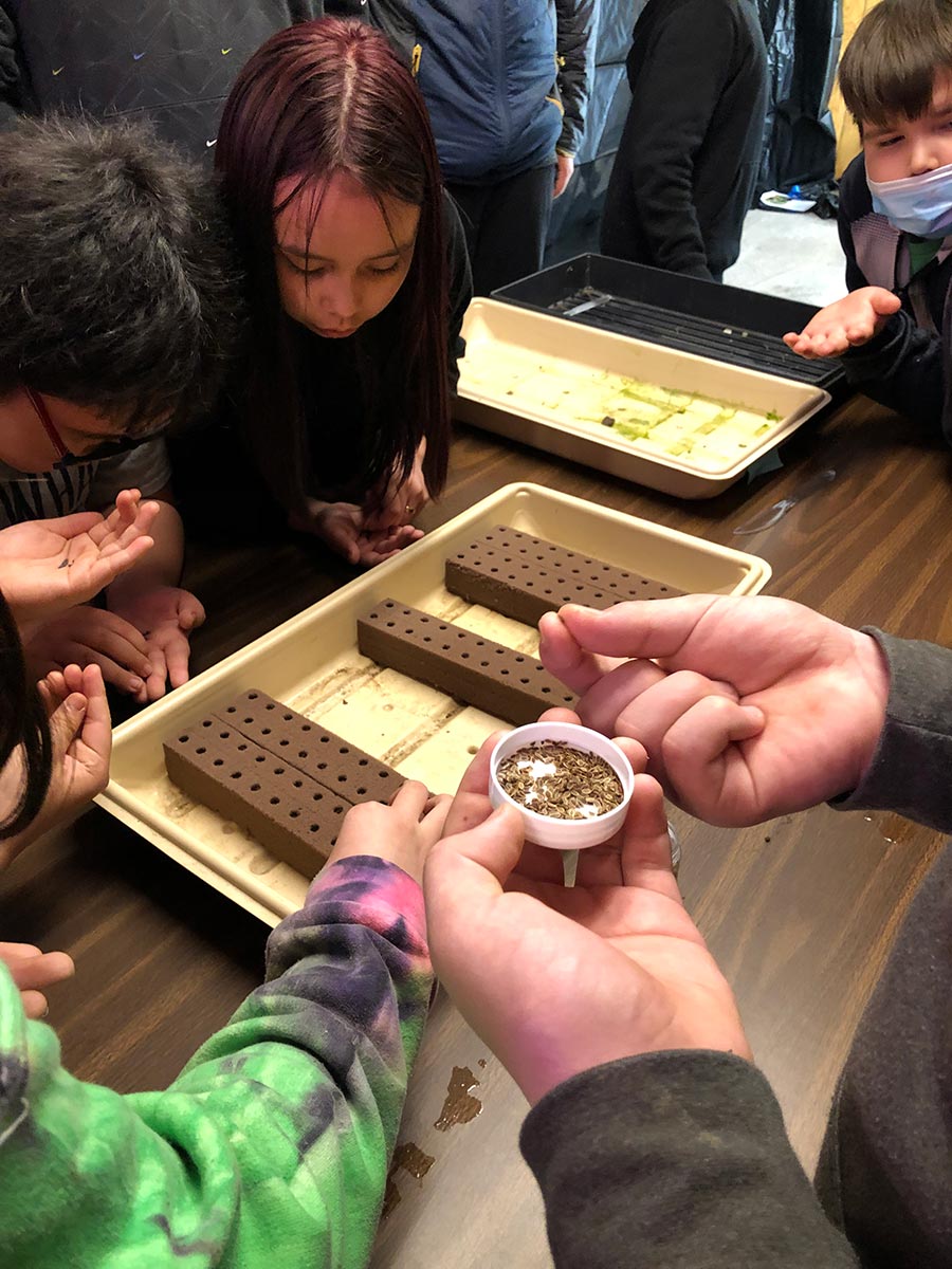 Group of kids planting seeds