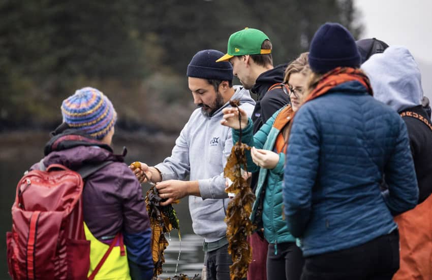 Group collecting sea weed