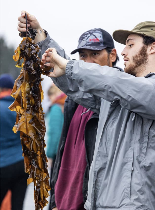 Man holding sea weed